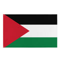 Palestinian Solidarity Flag — front view