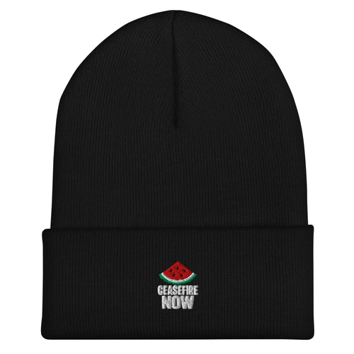 Ceasefire Now Embroidered Beanie — front view