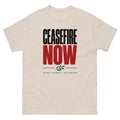 Ceasefire Now T-Shirt — front view